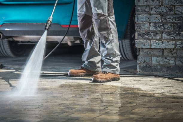 Best Driveway Pressure Washing  in Dunnigan, CA